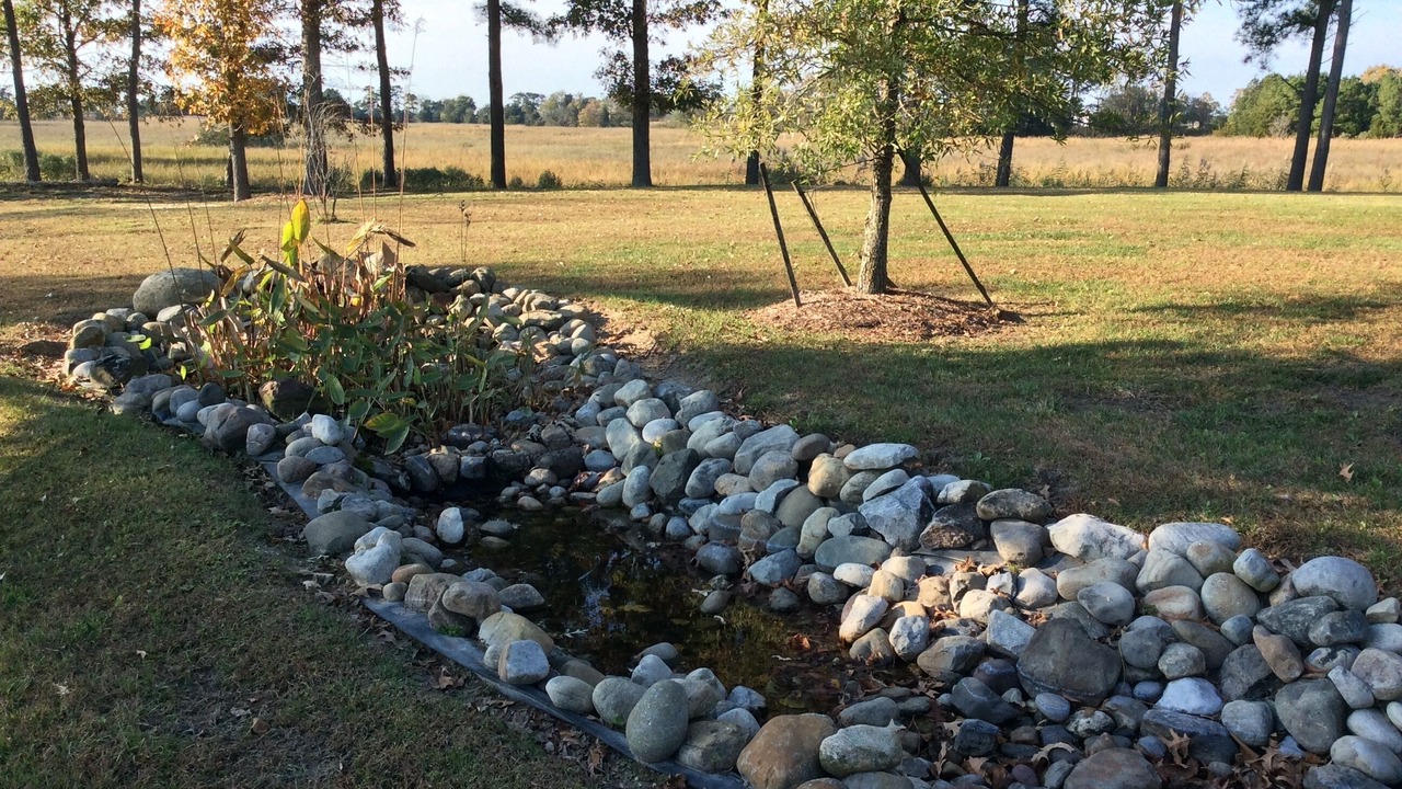 Photo of Outdoor in Temperanceville