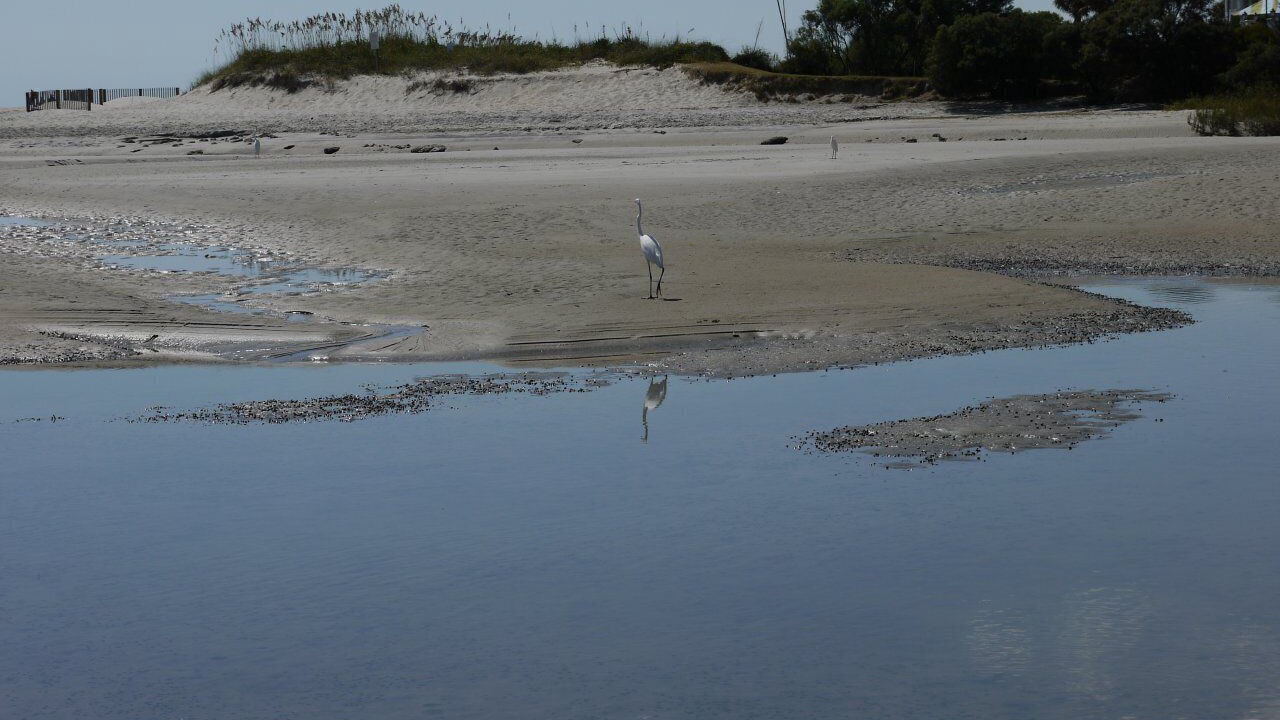Photo of Others in Myrtle Beach