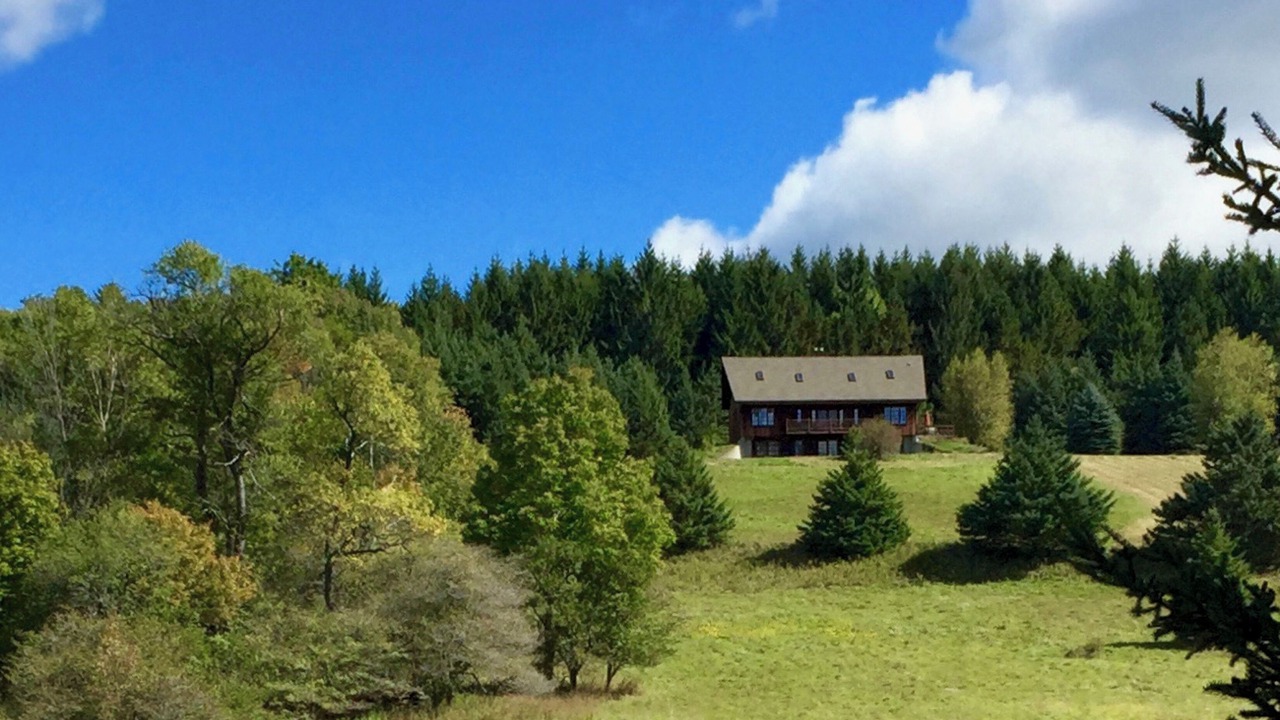 Photo of Others in Bloomville