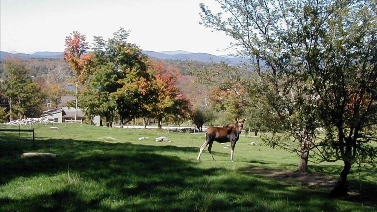 Photo of Others in Belmont