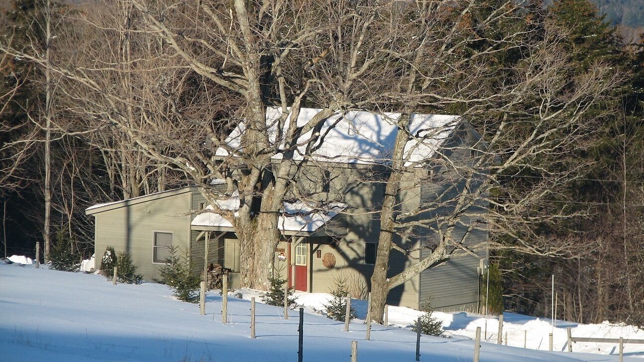Photo of Outdoor in Belmont