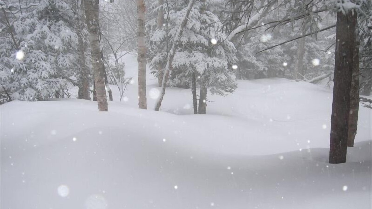 Photo of Others in North Troy