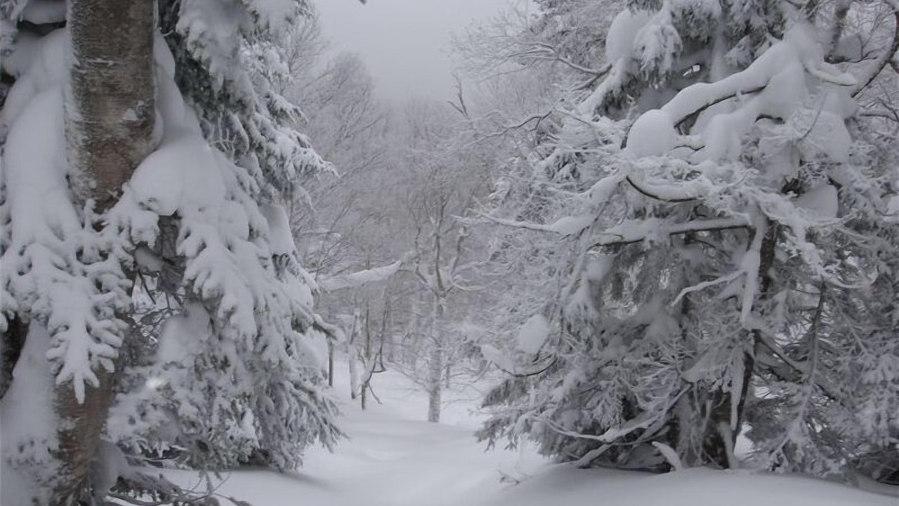 Photo of Others in North Troy