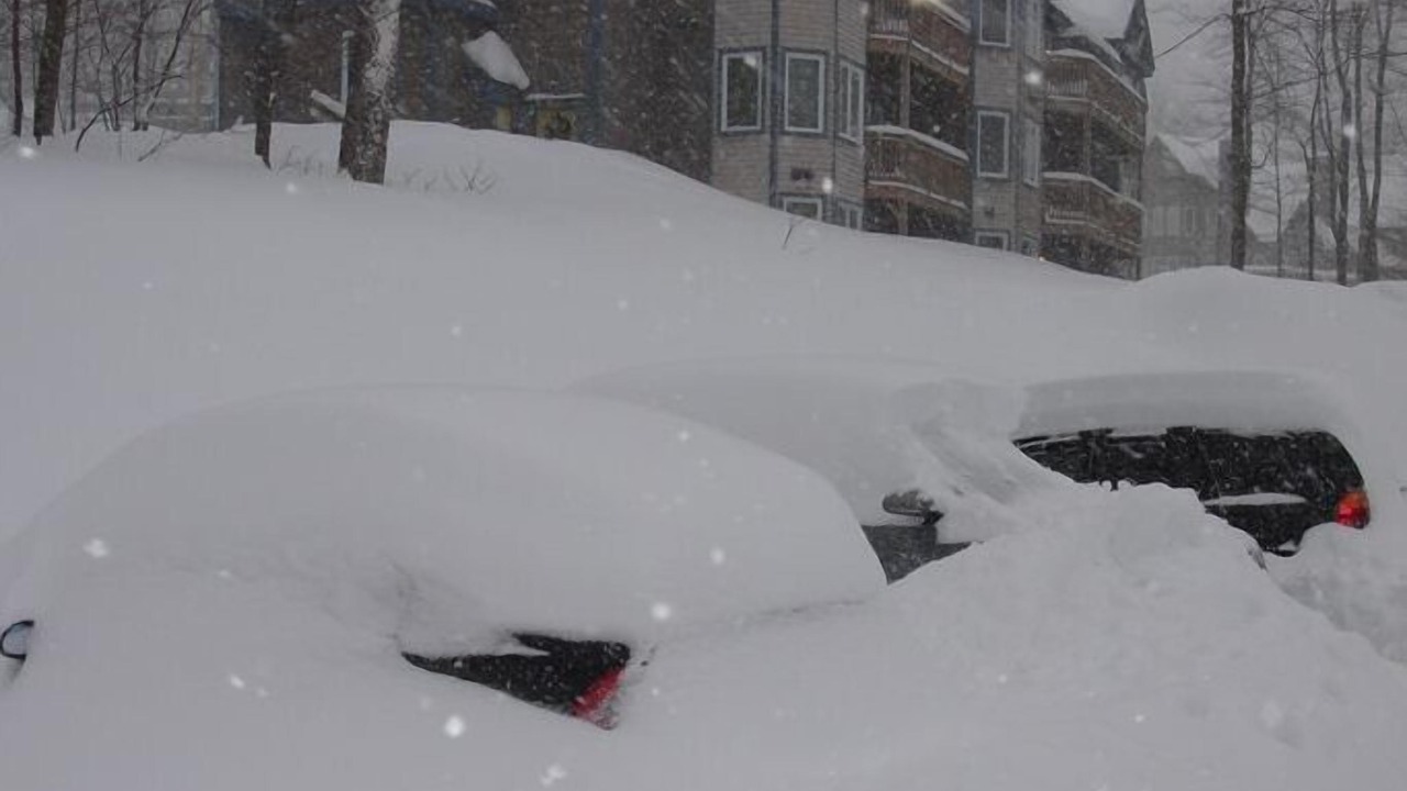 Photo of Others in North Troy