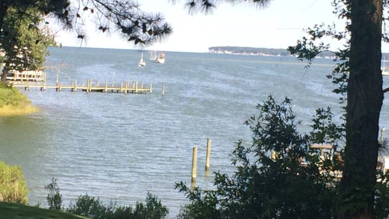 Photo of Others in Deltaville