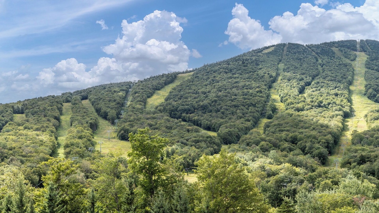 Photo of Others in Stowe Area