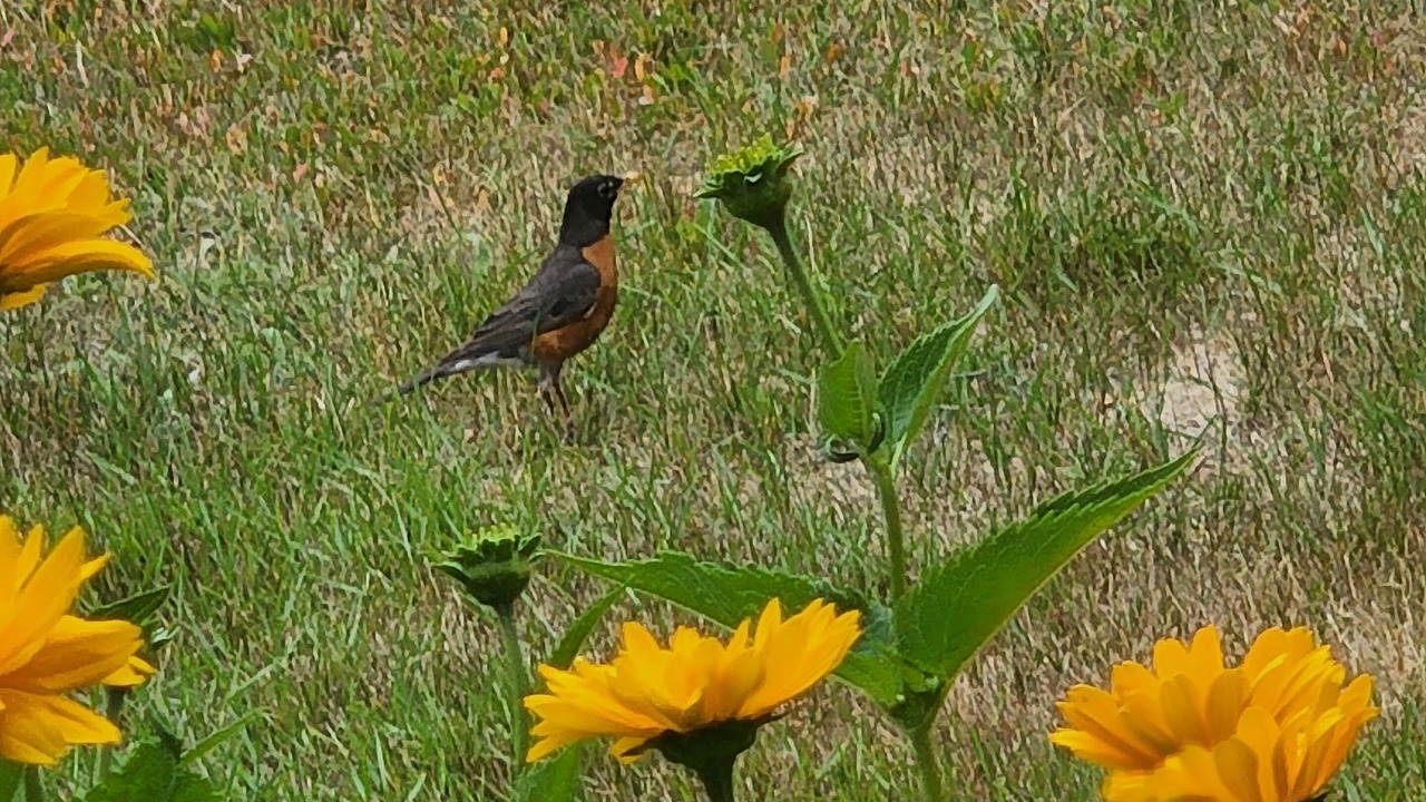 Photo of Others in Thornton