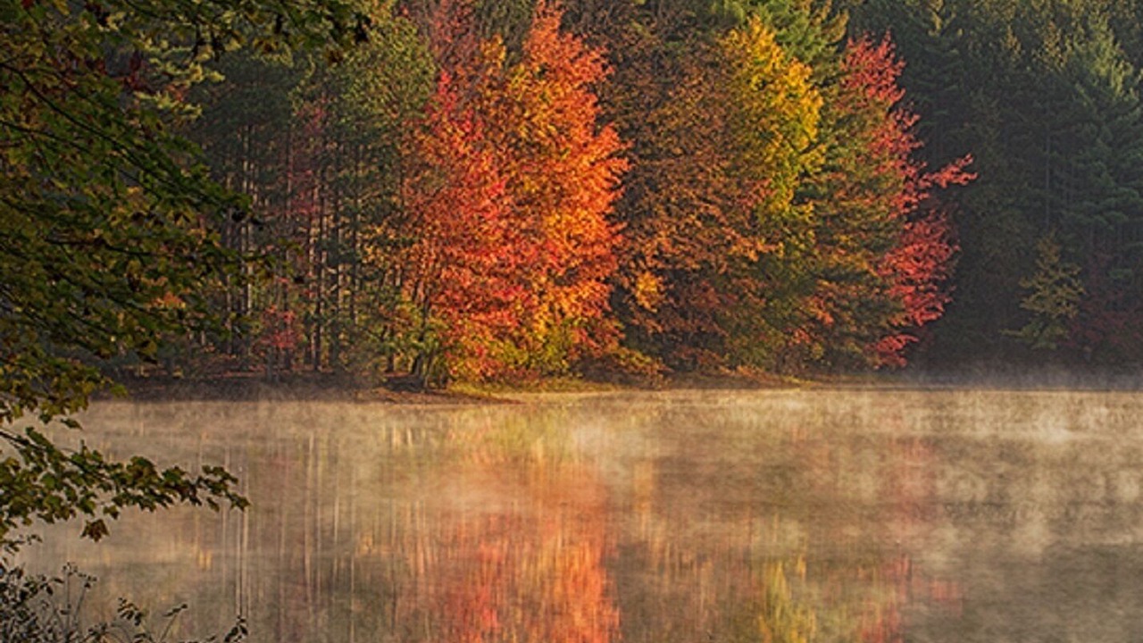 Photo of Outdoor in Amherst