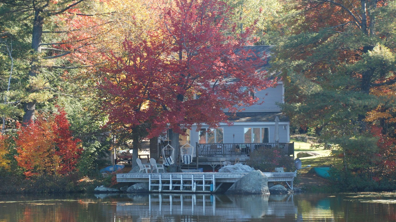 Photo of Outdoor in Unity