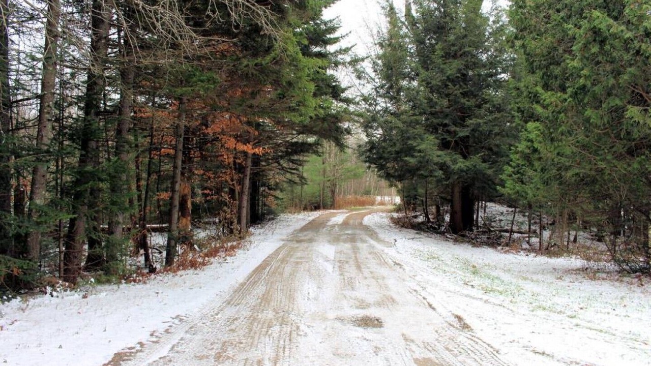 Photo of Outdoor in Jay