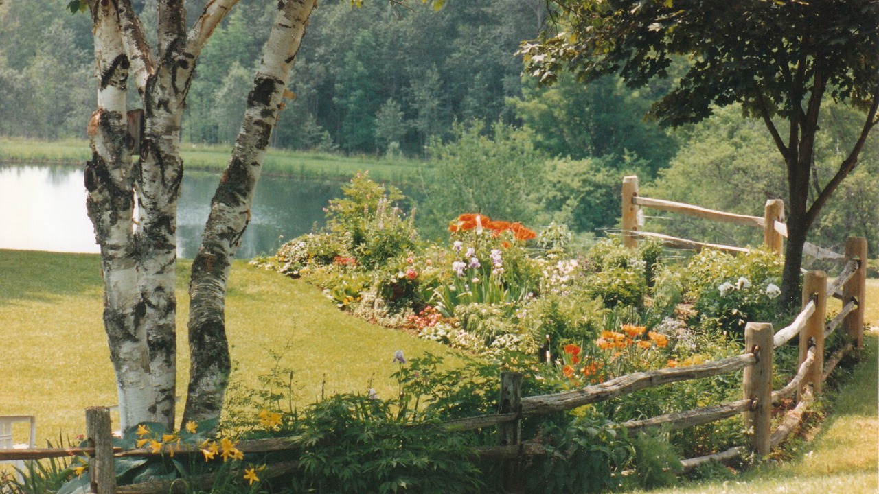 Photo of Outdoor in Woodstock