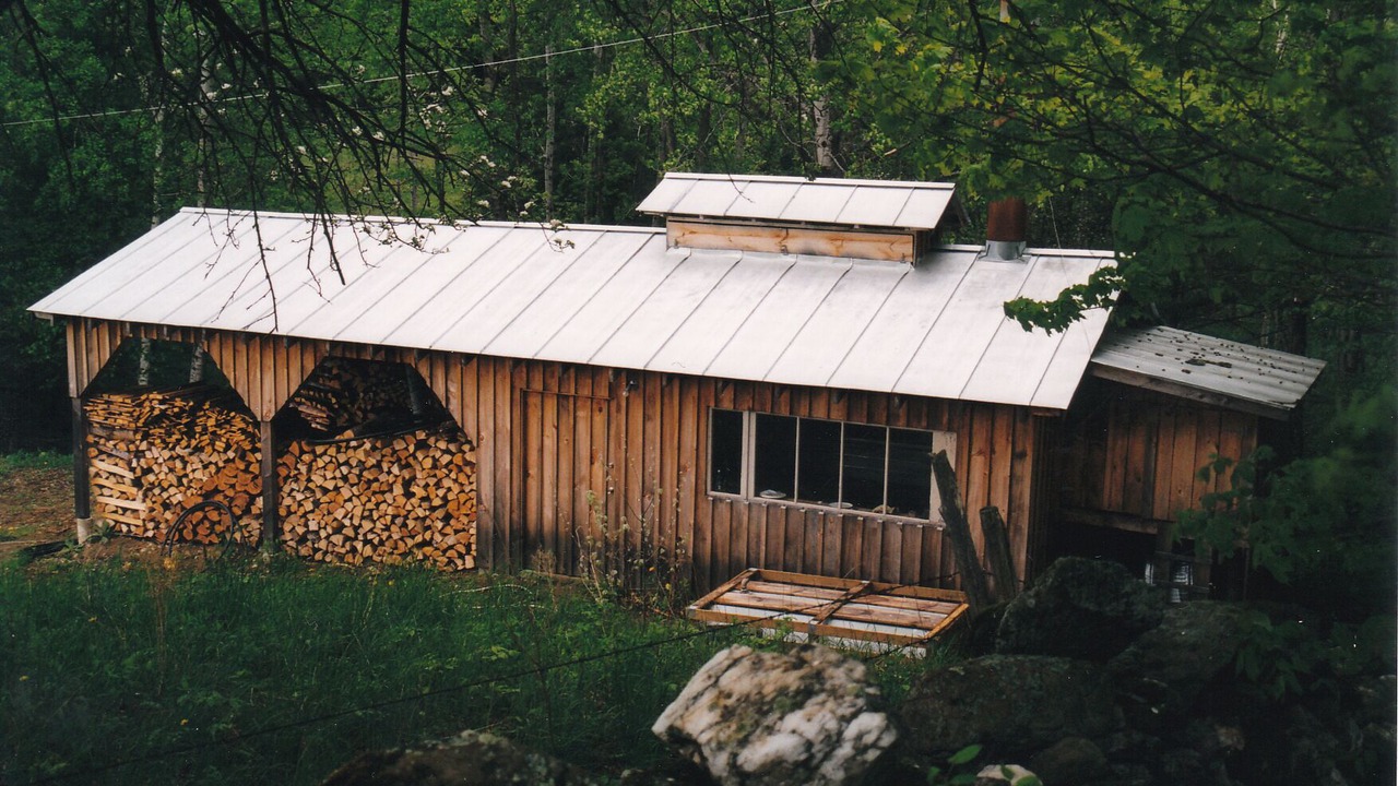 Photo of Others in Woodstock