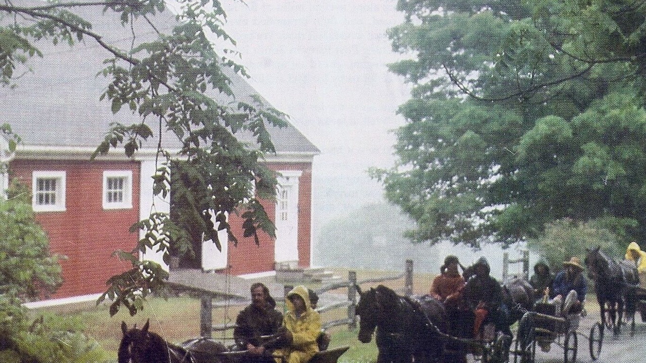 Photo of Others in Woodstock