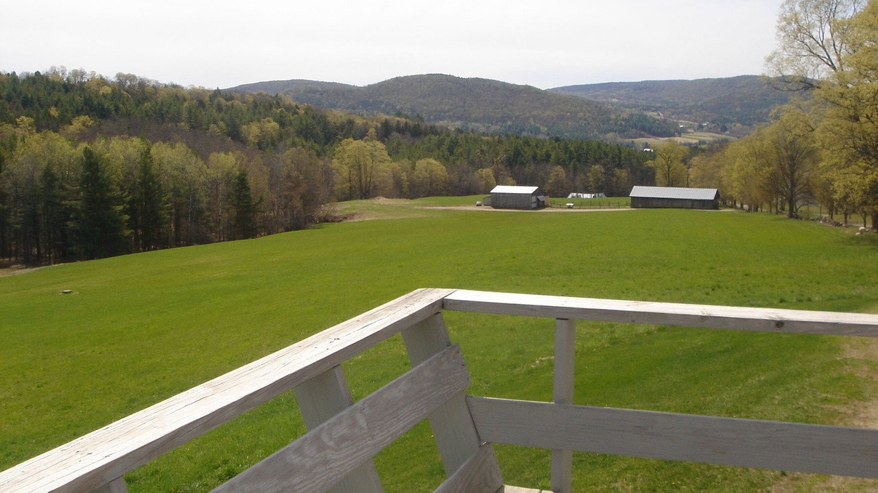 Photo of Others in Woodstock