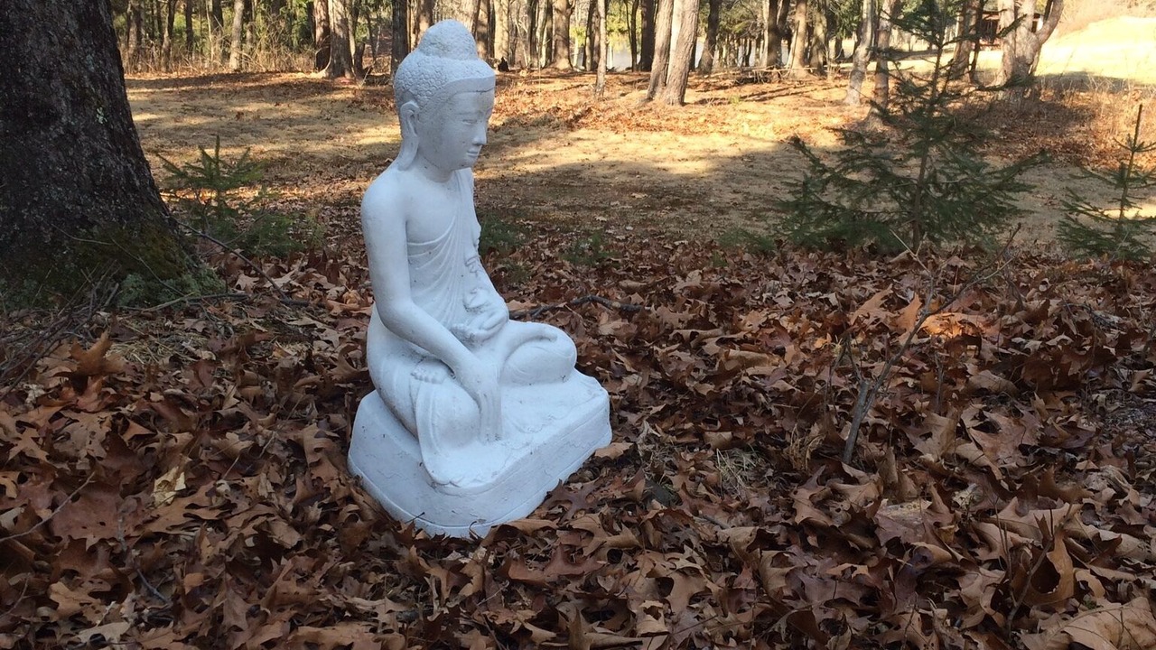 Photo of Outdoor in New Paltz