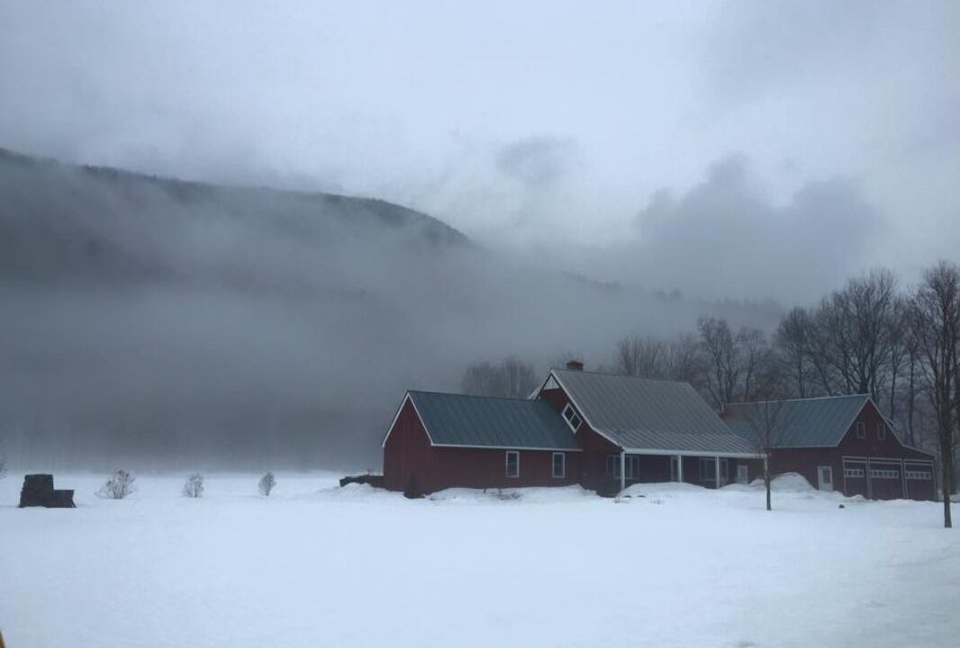 Photo of Others in Bridgewater Corners