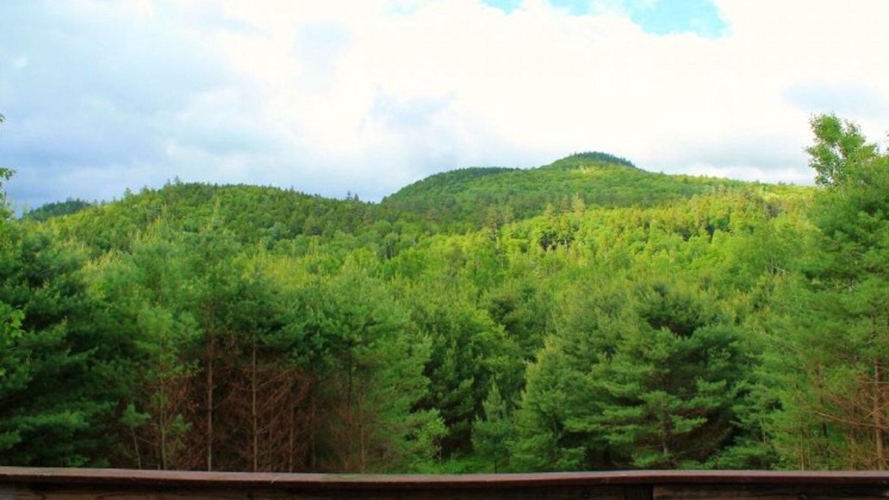 Photo of Outdoor in Woodstock