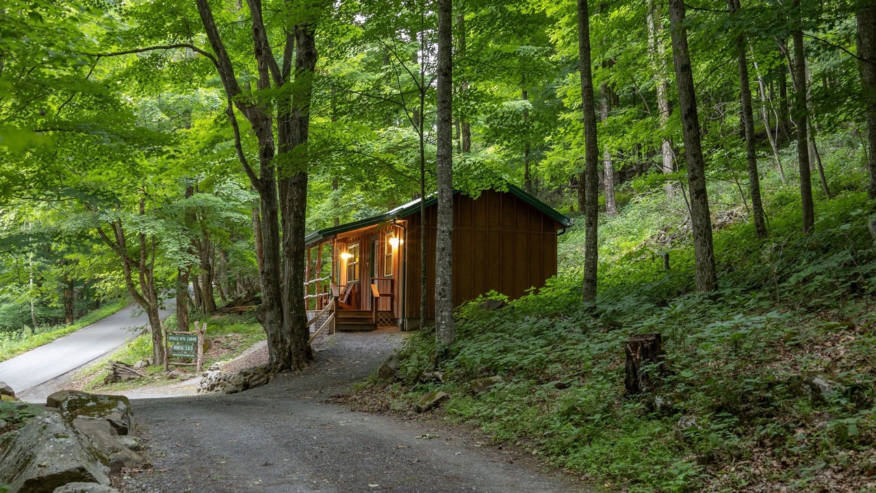 Photo of Others in Allegheny Mountains