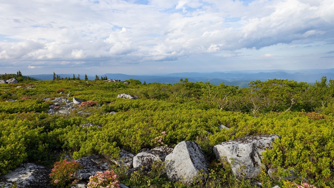 Photo of Others in Allegheny Mountains
