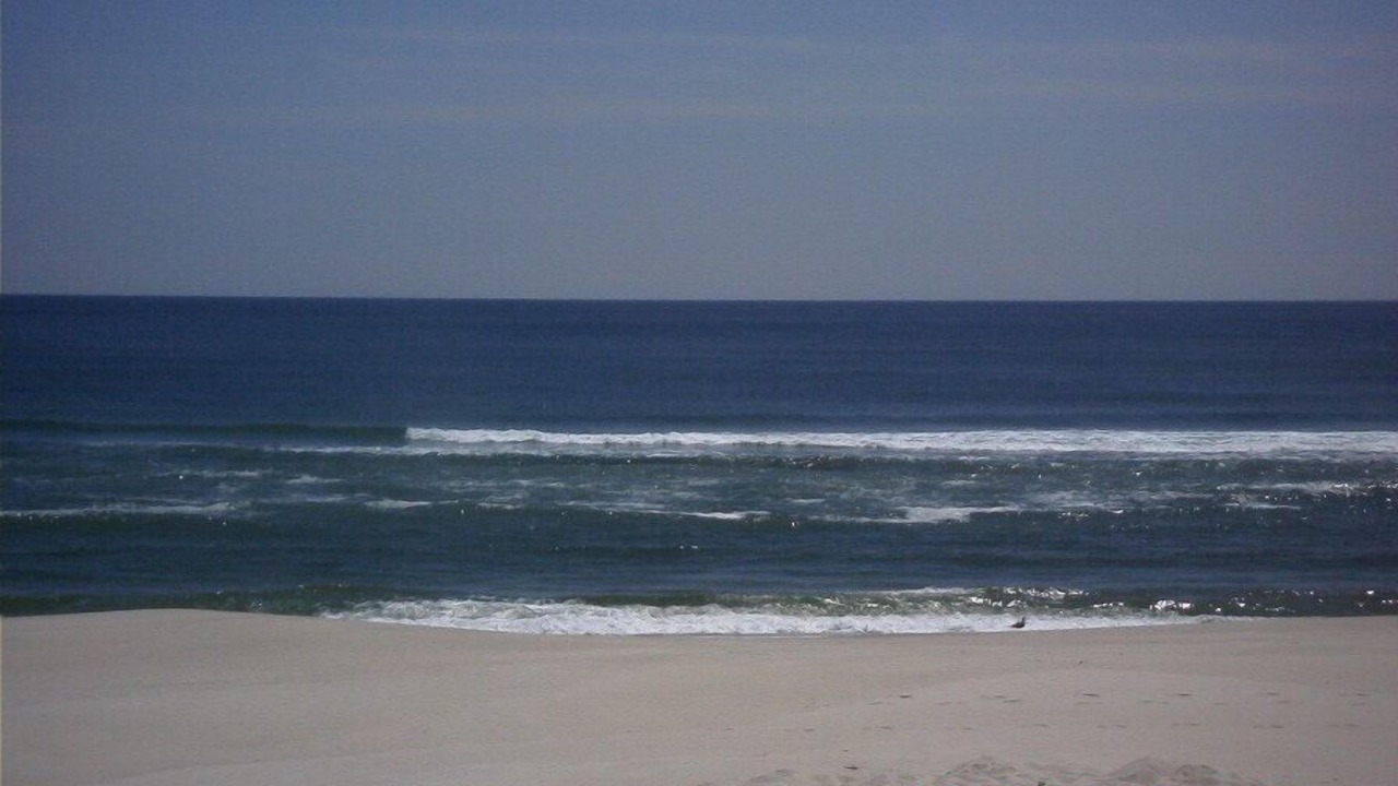 Photo of Others in Surf City