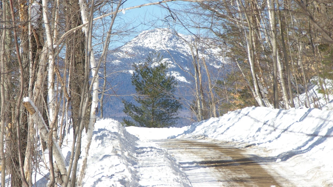 Photo of Others in Eidelweiss Village