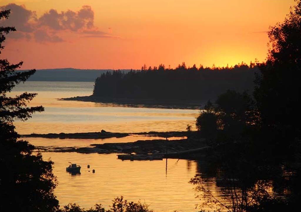 Photo of Others in Seal Cove
