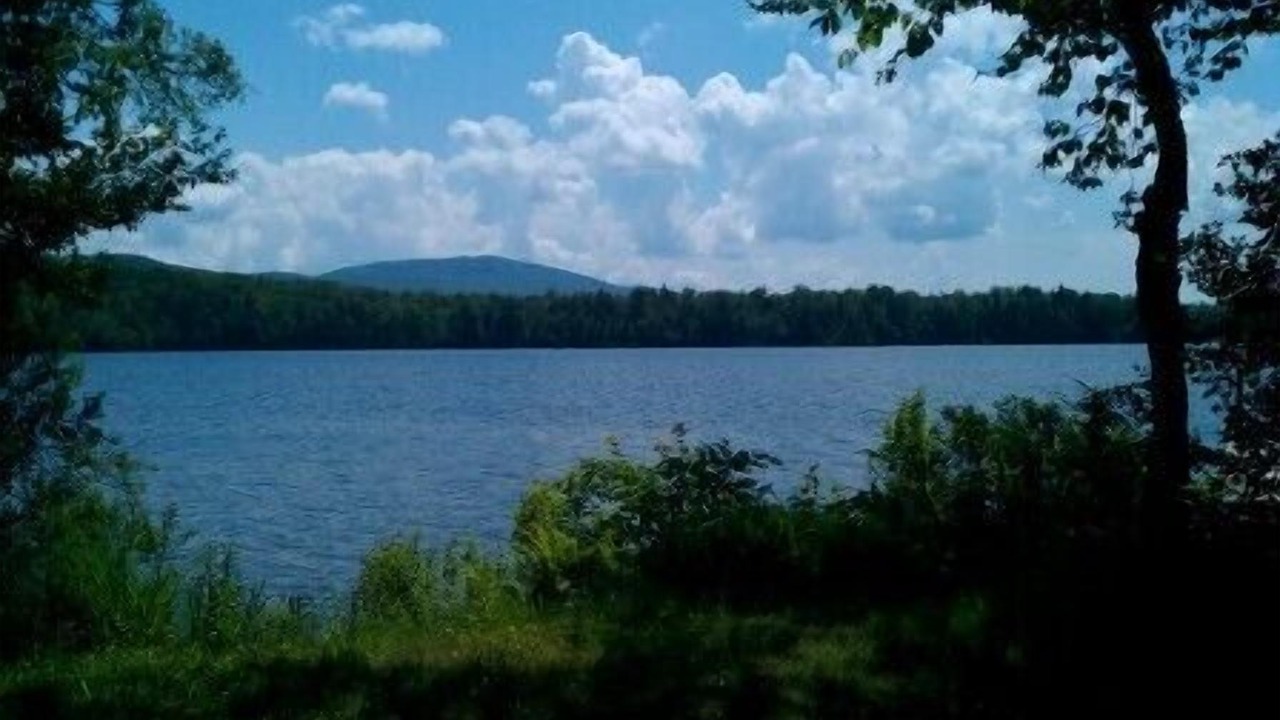 Photo of Outdoor in Mount Holly