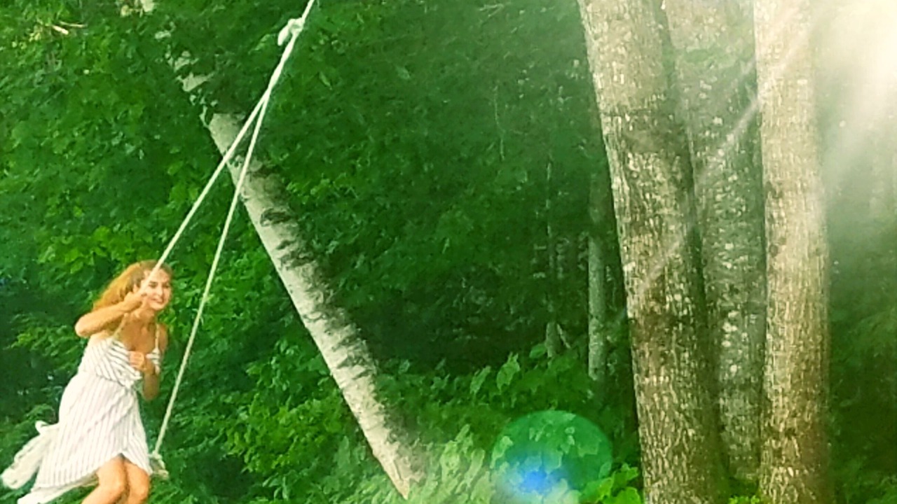 Photo of Others in Fryeburg