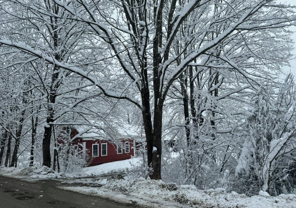 Photo of Outdoor in Stowe Area