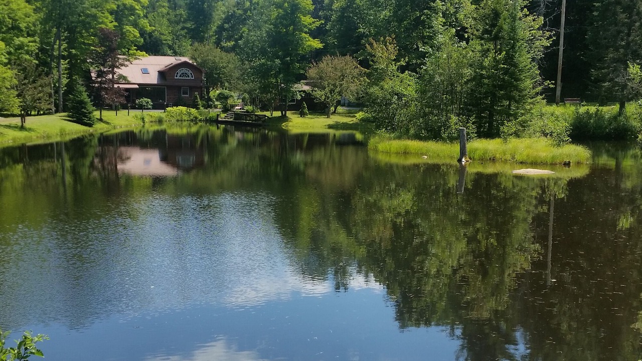 Photo of Outdoor in North Creek