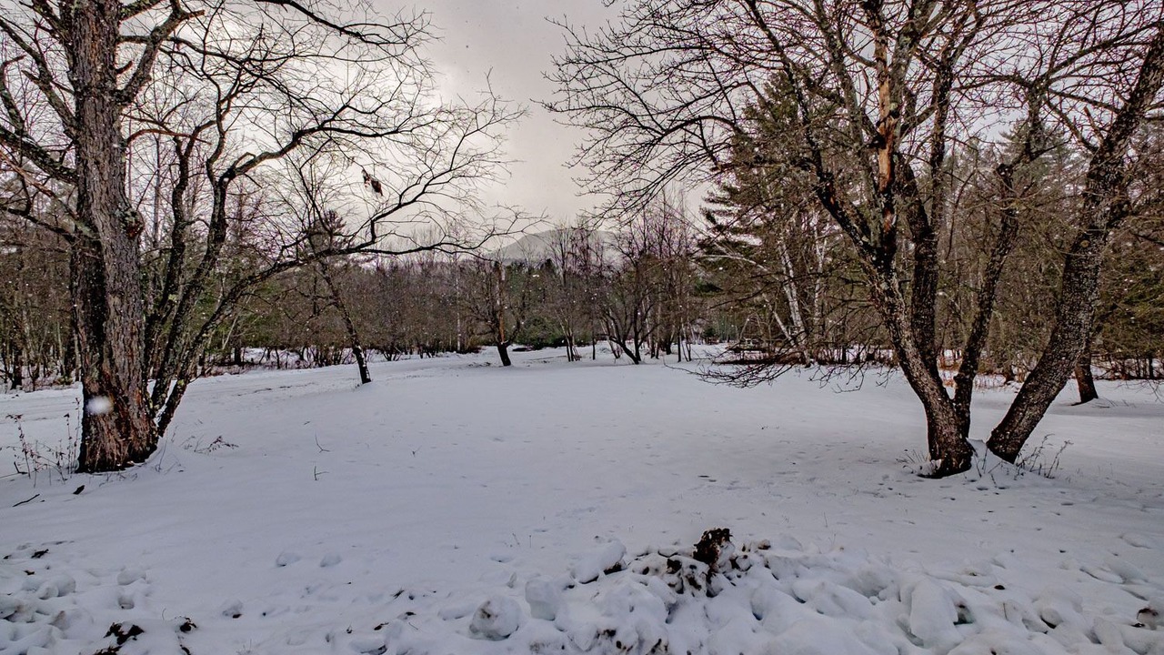 Photo of Others in Sunday River Area