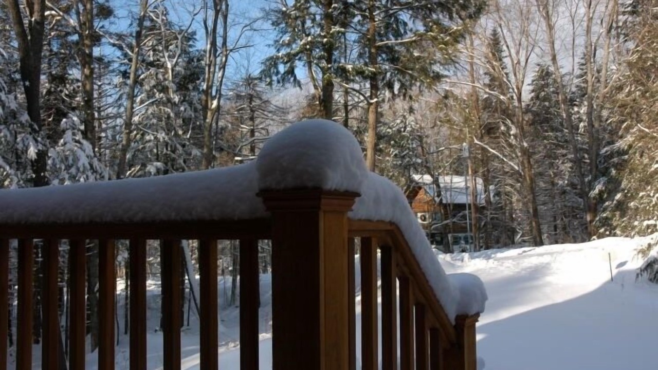Photo of Others in Mount Holly