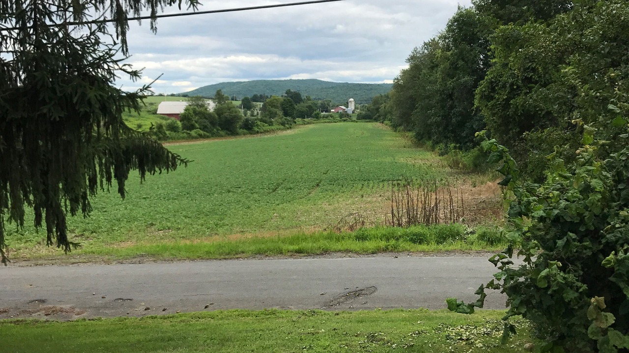 Photo of Others in Craryville