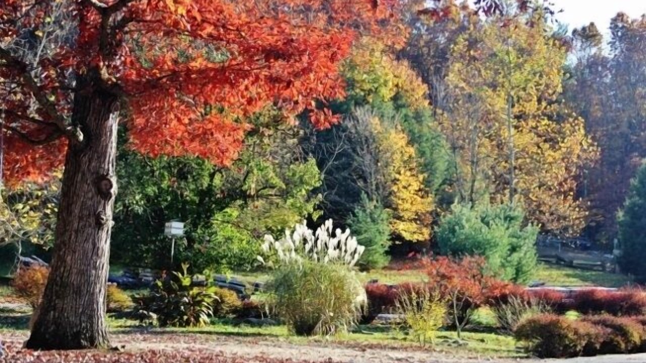 Photo of Outdoor in Goldbond