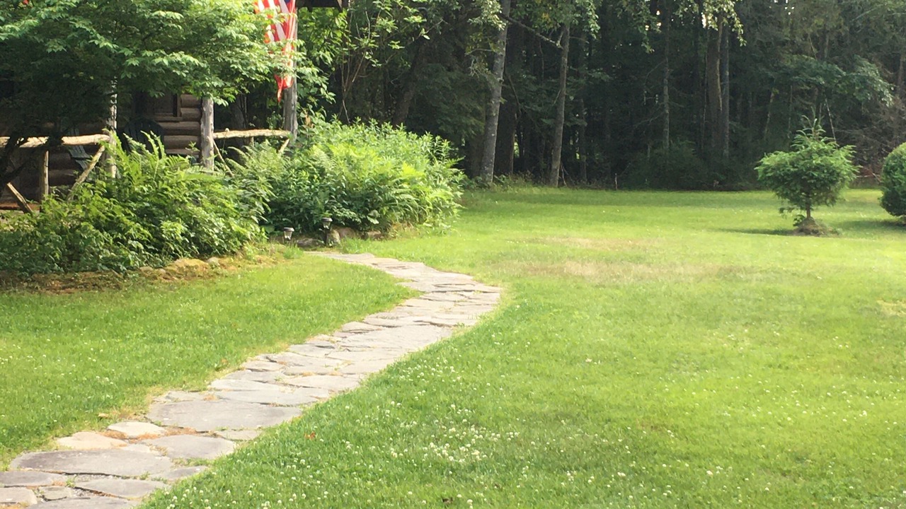 Photo of Outdoor in Town of Denning