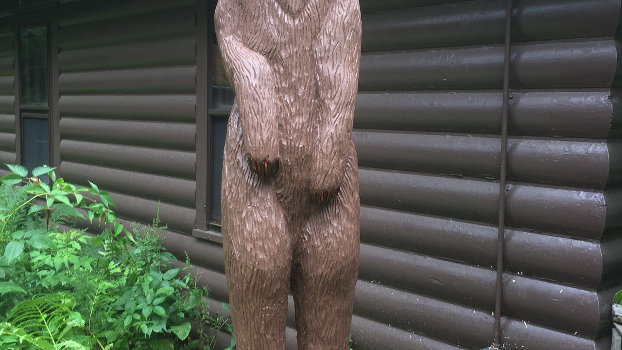 Photo of Others in Town of Denning