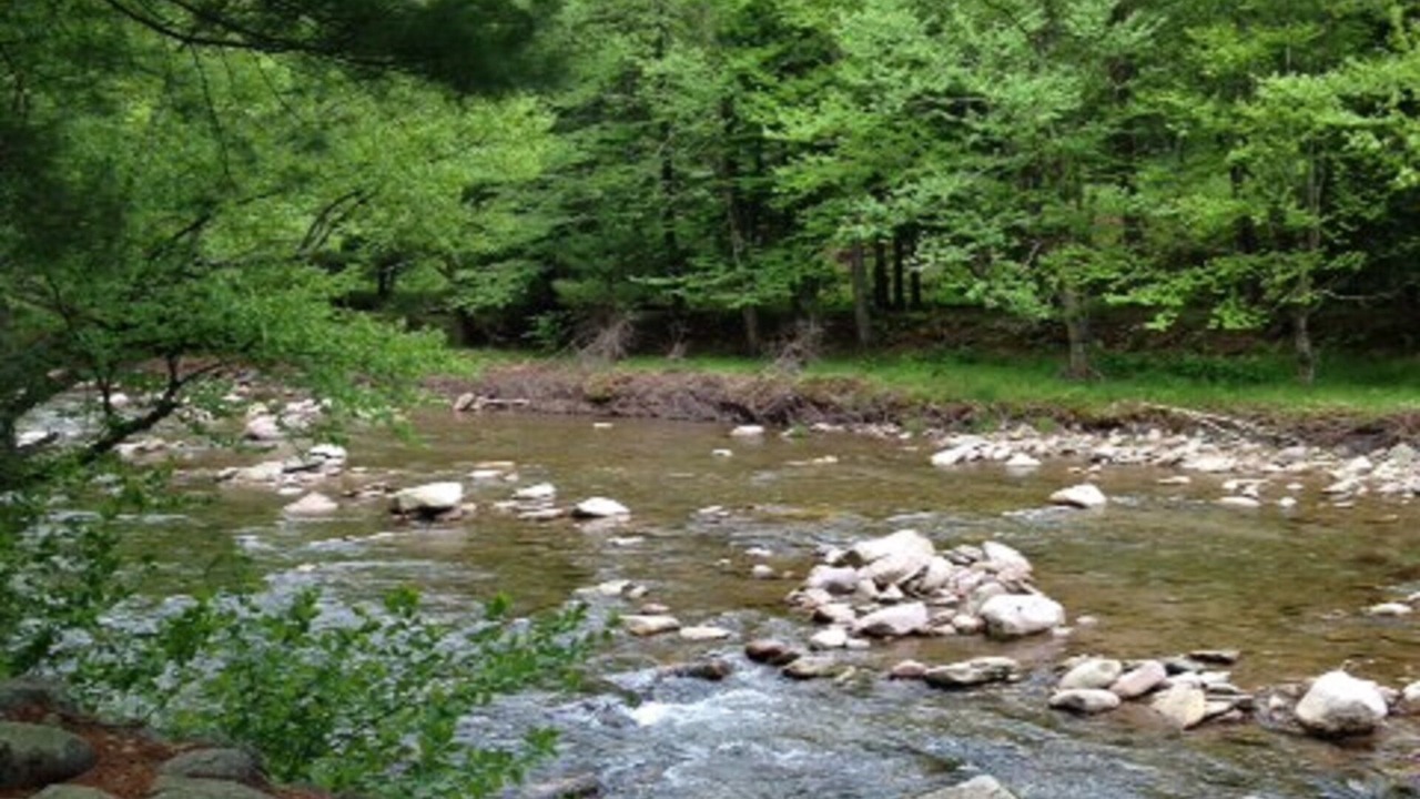 Photo of Others in Town of Denning