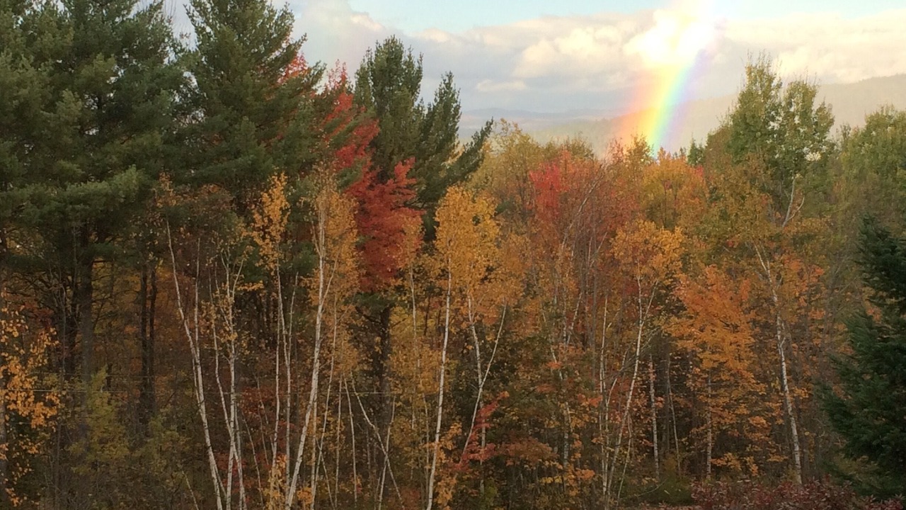 Photo of Outdoor in Littleton