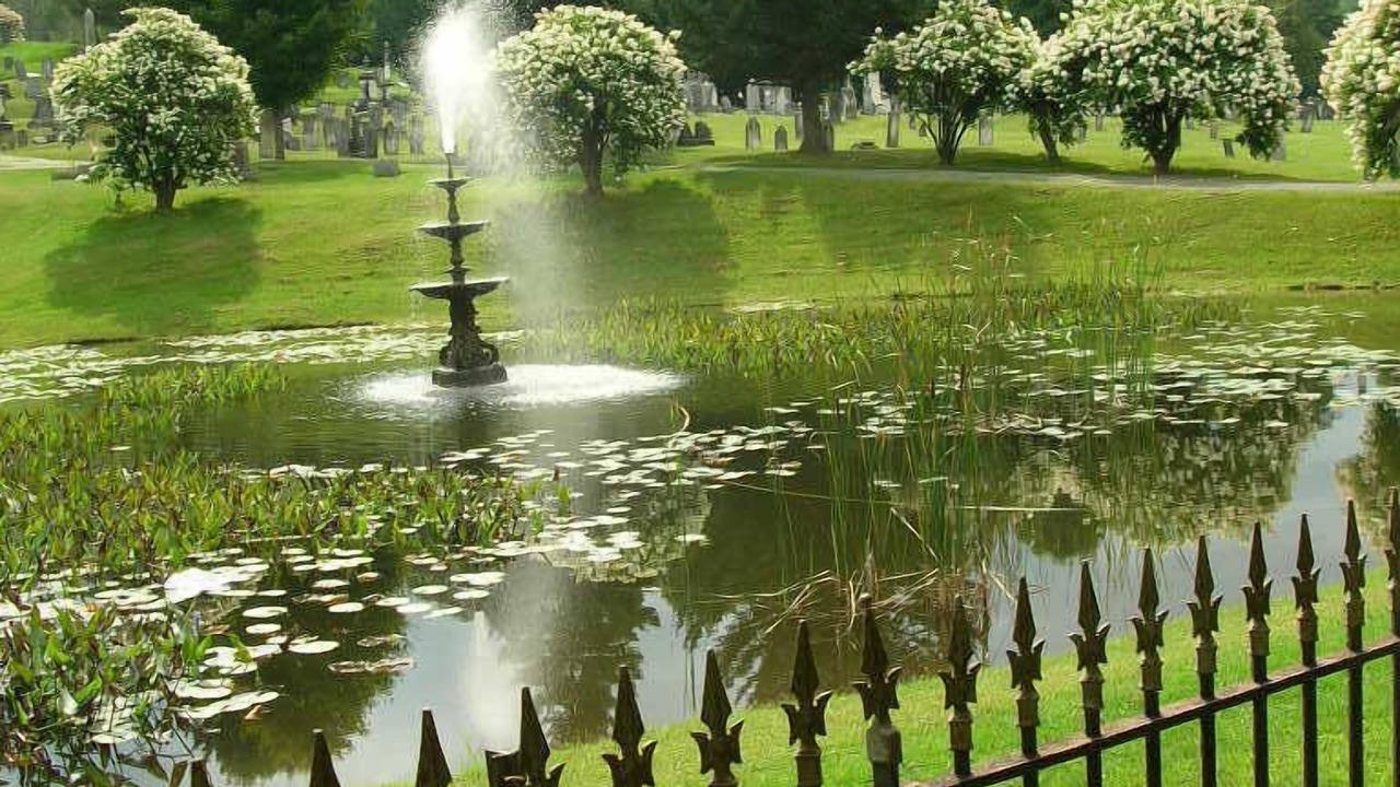 Photo of Outdoor in Wallingford
