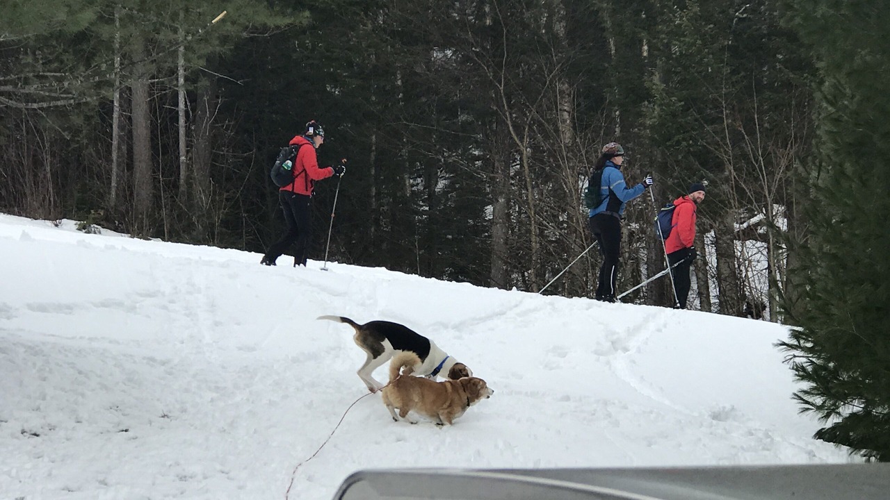 Photo of Others in Bretton Woods