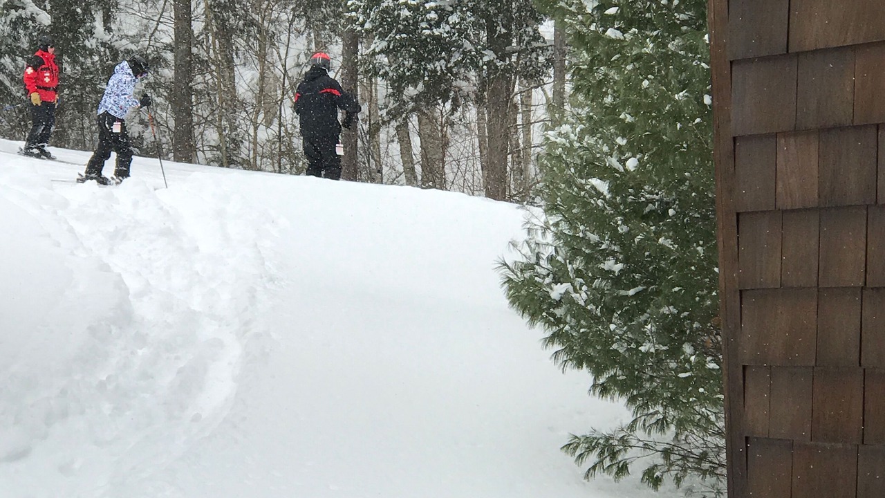 Photo of Others in Bretton Woods