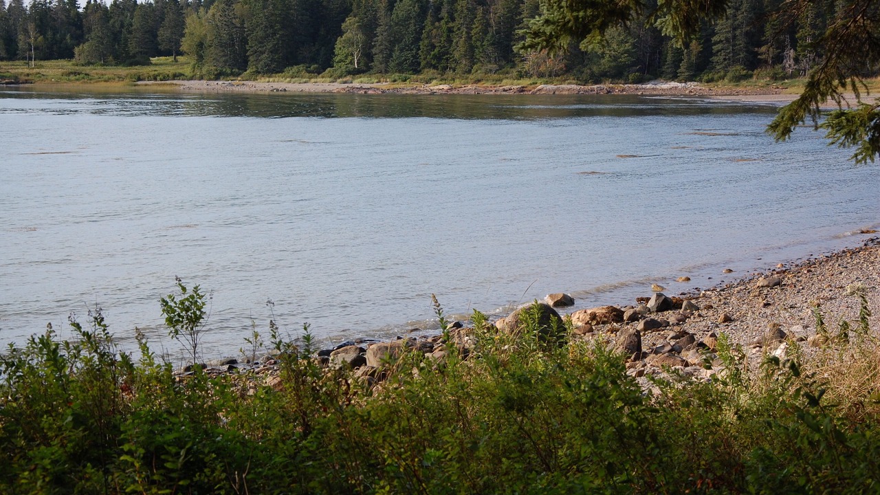 Photo of Others in Bernard
