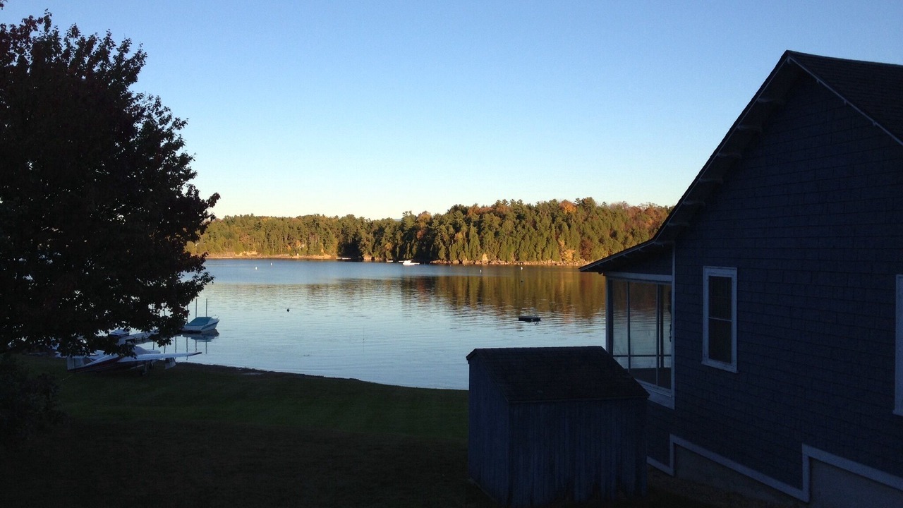 Photo of Others in Malletts Bay