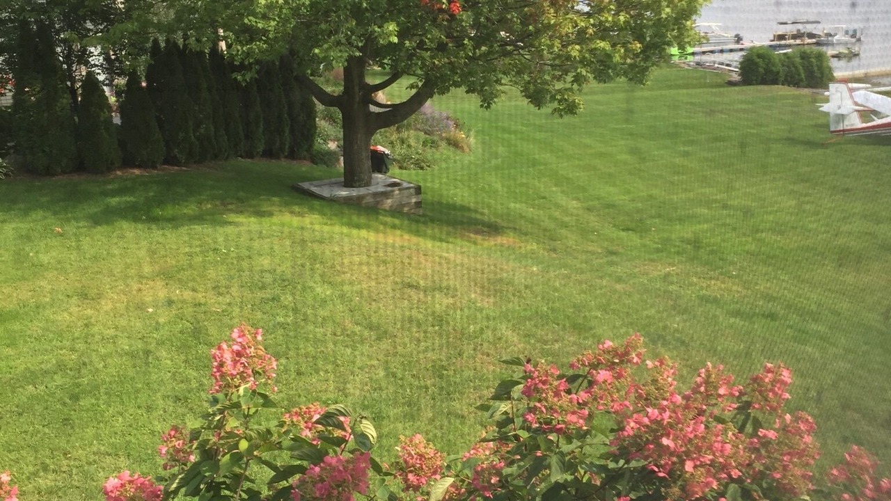 Photo of Outdoor in Malletts Bay