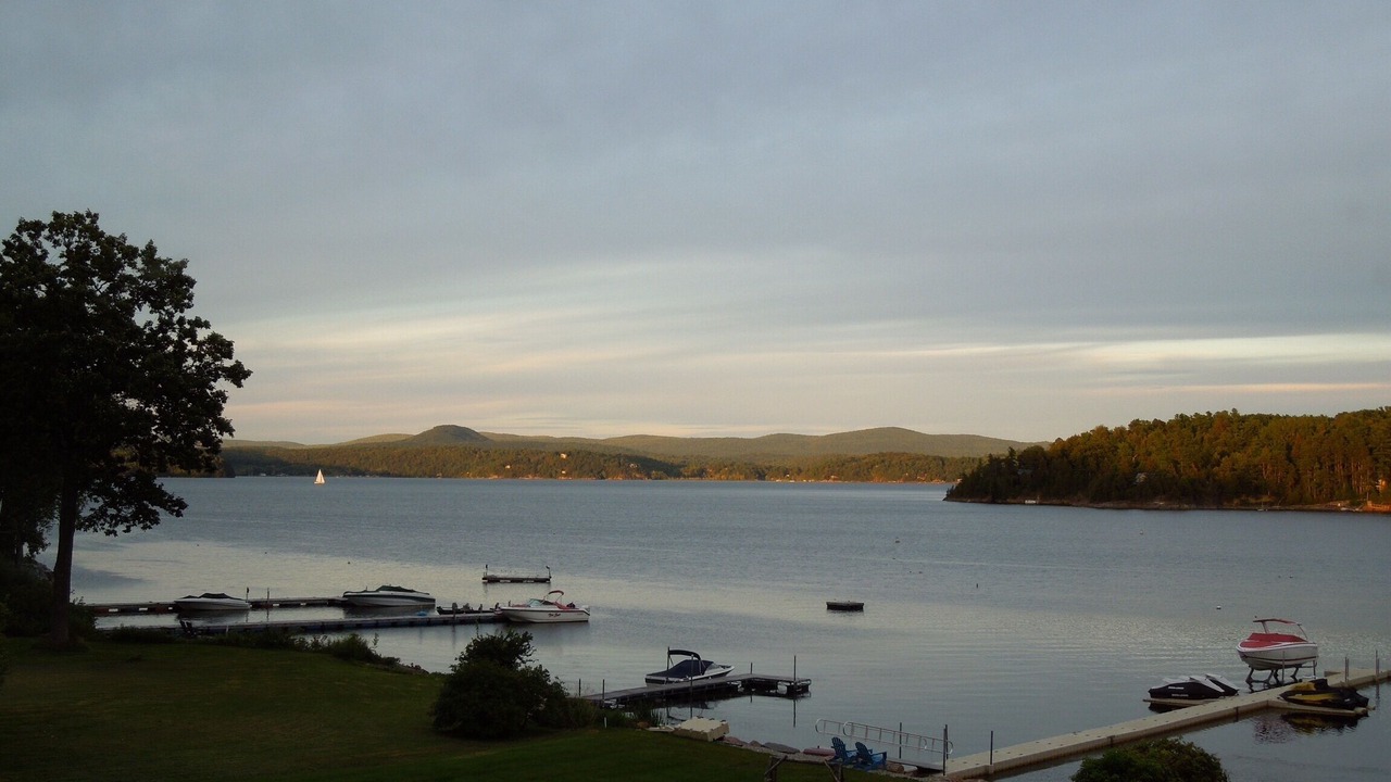 Photo of Others in Malletts Bay