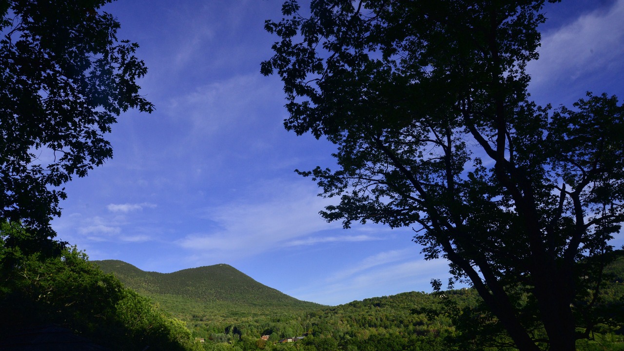 Photo of Outdoor in Jackson