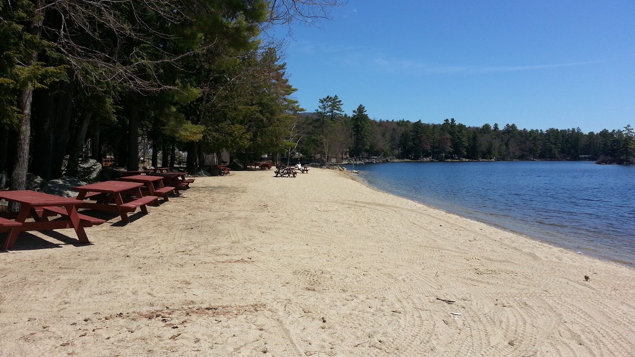 Photo of Others in Moultonborough