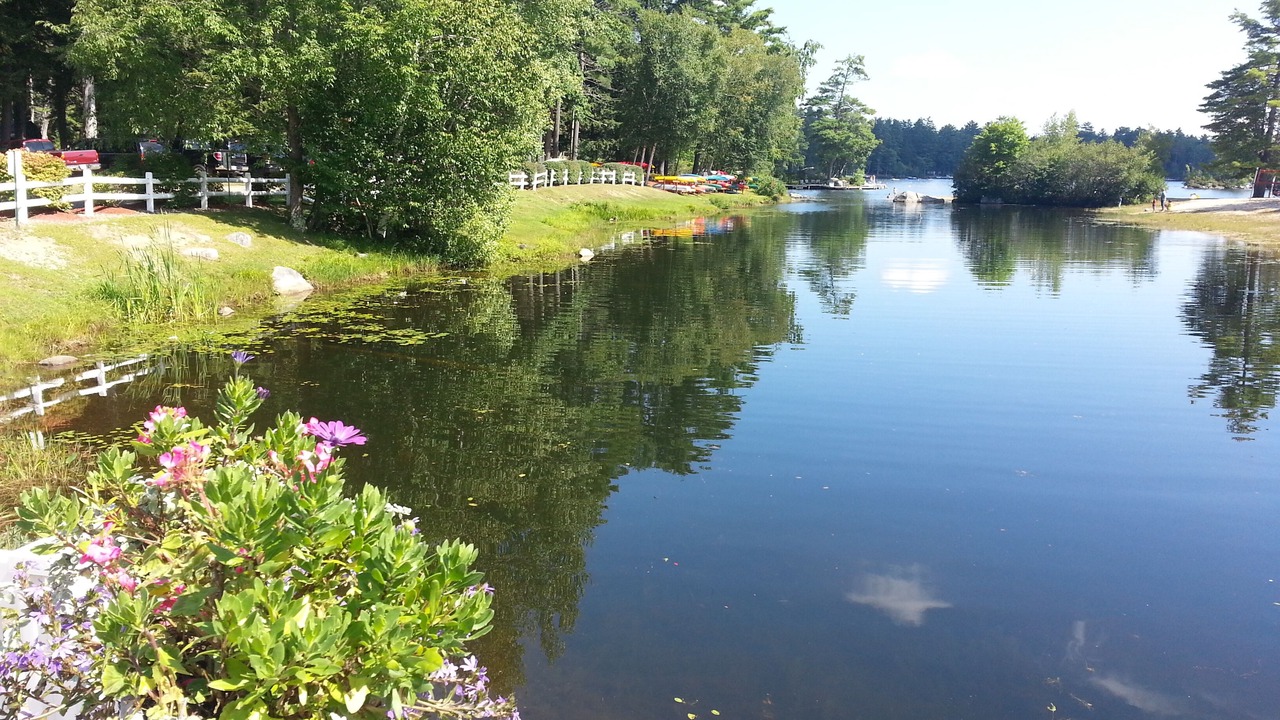 Photo of Others in Moultonborough