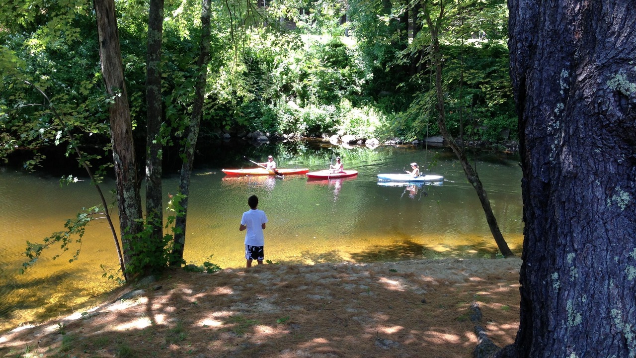 Photo of Others in West Ossipee