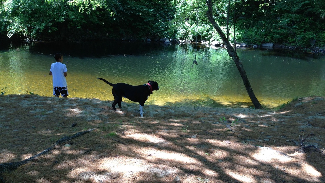 Photo of Others in West Ossipee
